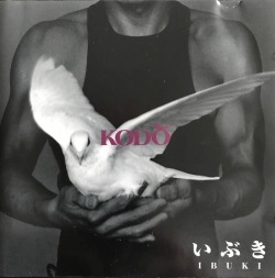 Capa do artigo Ibuki - CD