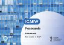 Icaew Assurance