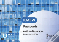 Capa do artigo Icaew Audit And Assurance