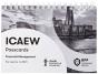 Icaew Financial Management - Preview