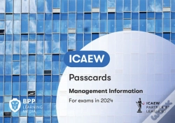 Capa do artigo Icaew Management Information
