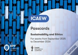 Capa do artigo Icaew - Sustainability And Ethics
