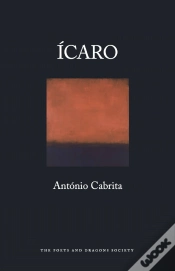 Capa do artigo Ícaro