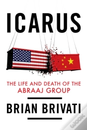 Capa do artigo Icarus