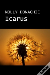 Capa do artigo Icarus