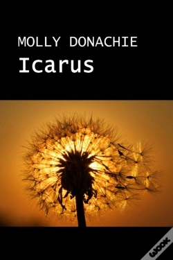 Capa do artigo Icarus