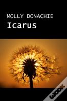 Icarus