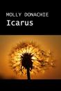 Icarus - Preview