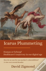 Capa do artigo Icarus Plummeting