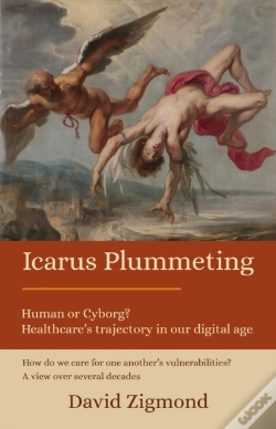 Capa do artigo Icarus Plummeting