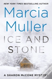 Capa do artigo Ice And Stone