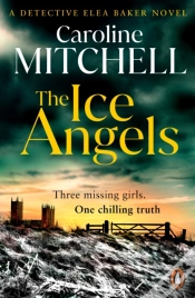 Capa do artigo Ice Angels