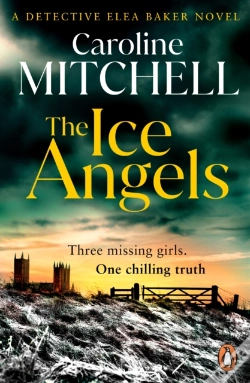 Capa do artigo Ice Angels