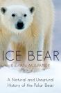 Ice Bear - Preview