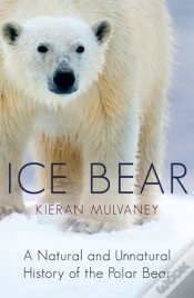 Capa do artigo Ice Bear