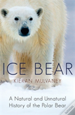 Capa do artigo Ice Bear