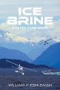 Ice Brine - Preview