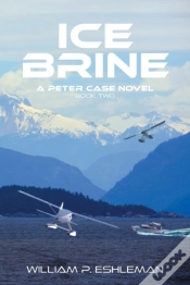 Capa do artigo Ice Brine