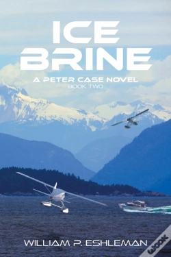 Capa do artigo Ice Brine