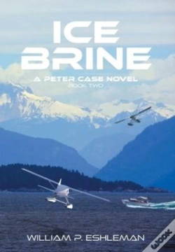 Capa do artigo Ice Brine