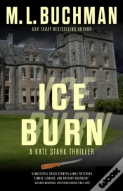 Capa do artigo Ice Burn