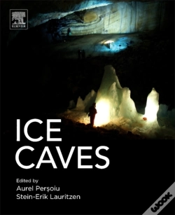 Capa do artigo Ice Caves