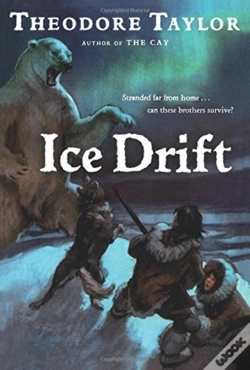 Capa do artigo Ice Drift