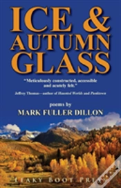 Capa do artigo Ice & Autumn Glass