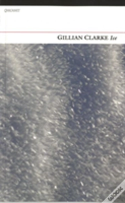 Capa do artigo Ice