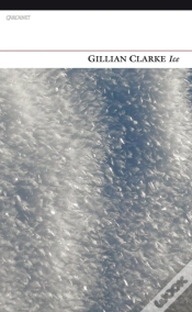 Capa do artigo Ice