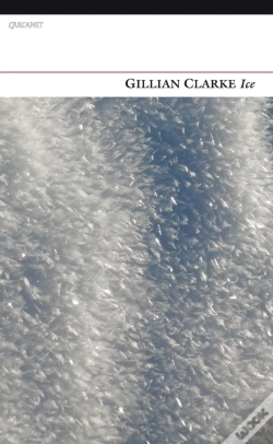 Capa do artigo Ice