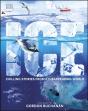 Ice - Preview