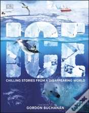 Capa do artigo Ice