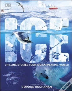 Capa do artigo Ice