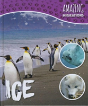 Ice - Preview