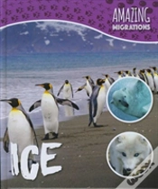Capa do artigo Ice
