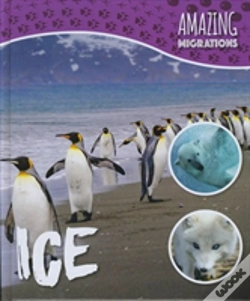 Capa do artigo Ice