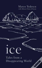 Capa do artigo Ice