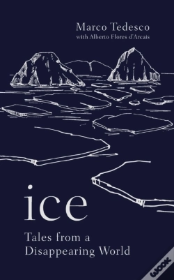 Capa do artigo Ice