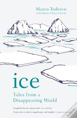 Capa do artigo Ice