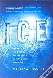 Capa do artigo Ice