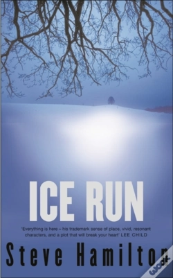 Capa do artigo Ice Run