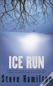 Capa do artigo Ice Run
