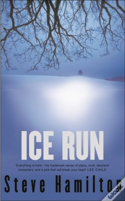 Capa do artigo Ice Run