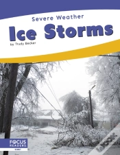 Capa do artigo Ice Storms