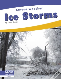 Capa do artigo Ice Storms