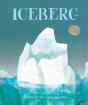 Iceberg - Preview