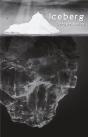 Iceberg - Preview