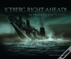 Capa do artigo Iceberg, Right Ahead!