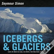 Capa do artigo Icebergs & Glaciers